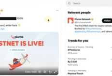 Tutorial PLUME Airdrop Crypto Terbaru 2024 untuk Pemula