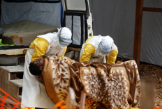 Wabah Ebola dan Hantavirus Merebak, Pakar: Kesiapan Dunia Hadapi Pandemi Masih Lemah
