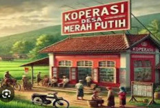 Bayi Sesar