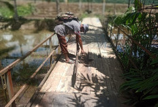 Jembatan Gantung di Kelurahan Tes Butuh Perbaikan