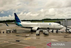 Danantara Bakal Reformasi Besar Perusahaan BUMN, Garuda Jadi Sasaran