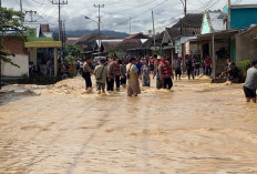 Antisipasi Hantavirus, Kemenkes Ingatkan Bahaya Bermain Air Banjir