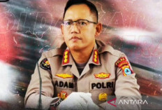 47 Orang Masuk Rumah Sakit Jiwa Gara-Gara Mabuk Kecubung