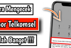 Cara Cek Nomor Telkomsel Sendiri dengan Mudah