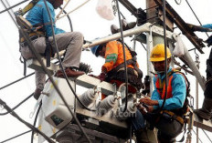 Blackout di Sumatra Jadi Alarm Penguatan Jaringan Transmisi 