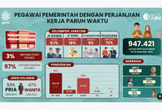 Data Resmi Jumlah PPPK & P3K PW, PNS Berkurang secara Alamiah Sejak Era Jokowi