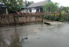 Sampah Tak Bisa Ditangani Sendiri, Harus Bersama