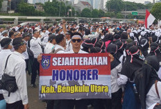 Dinilai Diperlakukan Tidak Adil, 31 Honorer BU Ikut Demo ke Jakarta