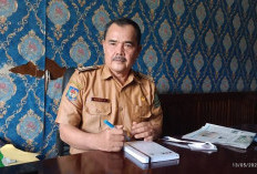 Audit Investigasi Dana Desa Ketenong II Dikebut