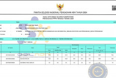 Pengumuman Hasil Seleksi PPPK Tahap 2, Ada R4 Lulus, Banyak R2 Gagal