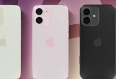 Perbedaan Spesifikasi iPhone 16 vs iPhone 16e vs iPhone 16 Plus