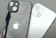 PPN 12%, Harga iPhone di 2025 Dipastikan Melonjak