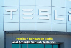Tesla Tersandung, Laba Anjlok 71% di Kuartal I 2025, BYD Kian Unggul