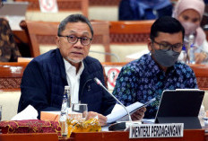 Pemerintah Resmi Setop Impor di 2025, Ini Alasannya