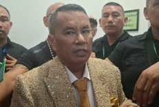 Hotman Paris Ungkap Alasan Belum Tangani Kasus Ammar Zoni, Oh Ternyata