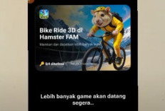 Hamster Kombat, Tanda-Tanda Scam dan Mengapa Listing Juli 2024 Mungkin Tidak Terjadi