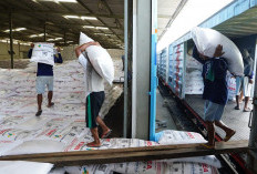 Pupuk Indonesia Gelar Program Tebus Bersama di Madiun