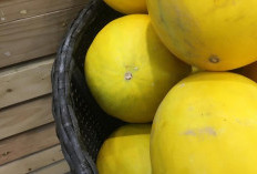 Timun Suri Jadi Primadona saat Puasa, Bagus untuk Dehidrasi-Asam Lambung?