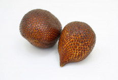 4 Manfaat Salak, Bikin Proses Diet Makin Lancar