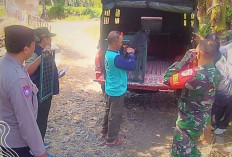 Kemenhut Selamatkan Lutung Jawa di Bondowoso, Ajak Warga Dukung Konservasi