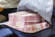 Koordinator TTI Soroti Praktik Korupsi Berkedok Pokir Dewan di Pengadaan e-Katalog