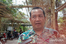 PPPK 2024, Pemkot Serang Hanya Menyediakan 200 Formasi, Ini Alasannya