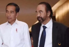 Pertemuan Jokowi dengan Surya Paloh Dinilai Pengkhianatan di Internal Koalisi Perubahan