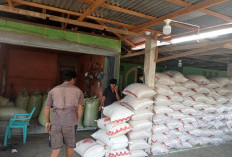 Tak Ingin Harga Anjlok, Petani Kopi Lebong Minta Perlindungan Pemerintah