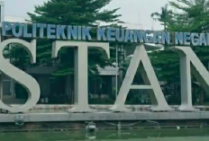 Pengumuman Hasil SKD PKN STAN, Ini Jadwal Lengkapnya