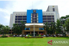 Bea Cukai Jakarta Segel Toko Perhiasan Internasional, Asosiasi: Upaya Negara Lindungi Industri UMKM