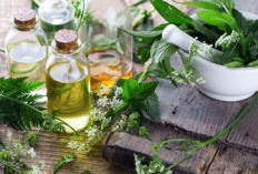 5 Daun Alami untuk Membantu Meredakan Gejala Asma, Minim Efek Samping