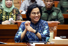 Sudah Ada Anggaran Gaji untuk Pengangkatan Ratusan Ribu Honorer jadi PPPK