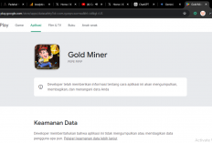 Cara Bermain PEPE Gold Miner untuk Pemula