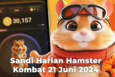 Klaim 1 Juta Koin dengan Sandi Morse Hamster Kombat Harian 21 Juni 2024!