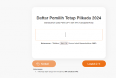 Cek DPT Online, Ketahui Status Data Diri sebagai Pemilih 