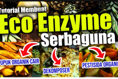 Rahasia Kesuburan Tanah: Membuat Eco Enzyme dari Kulit Buah dengan Mudah