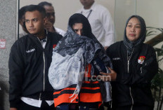 Waketum Golkar Kelihatannya Kesal sama Fadia Arafiq