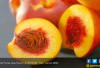 9 Manfaat Buah Persik untuk Kulit yang Bikin Kaget