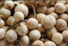 Punya Rasa Asam, Ini Manfaat Buah Langsat untuk Kecantikan Kulit