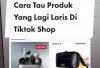 Makin Cuan! Rekomendasi Produk Terlaris di TikTok Affiliate 