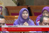R4 Menangis di Rapat DPR, 7 Tahun Honorer Divonis Non-Database, Tak Punya Ordal