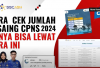 Melihat Jumlah Pendaftar CPNS 2024: Berapa Banyak Saingan Kita?