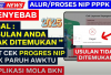 Penyebab Usulan Data NIP PPPK Paruh Waktu 2025 Tidak Ditemukan di Aplikasi Mola BKN