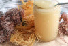 Efek Konsumsi Sea Moss Gel yang Akan Dirasakan Kulitmu