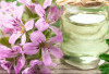Geranium Oil, Si Kecil yang Punya Segudang Manfaat