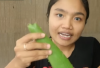  DIY Aloe Vera untuk Jerawat: Cara Pakai Lidah Buaya di Rumah
