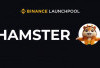 TGE Hamster Kombat di Bulan Juli: Menandai Era Baru dalam Game Play-to-Earn