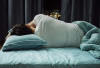 Ini Posisi Tidur yang Dibenci Allah SWT Menurut Hadits