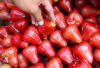 4 Manfaat Jambu Air, Bantu Kontrol Diabetes