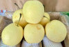 Manfaat Buah Pir untuk Kesehatan, Diet hingga Kecantikan